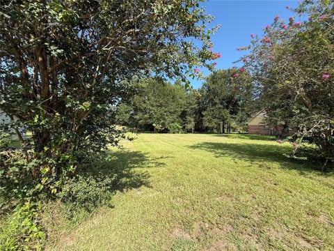 Photo of 0 N Tram Road N, Vidor, TX 77662 (MLS # 78699722)