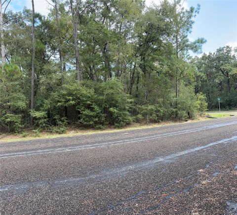 TBD Beechnut Ct Montgomery TX 77320