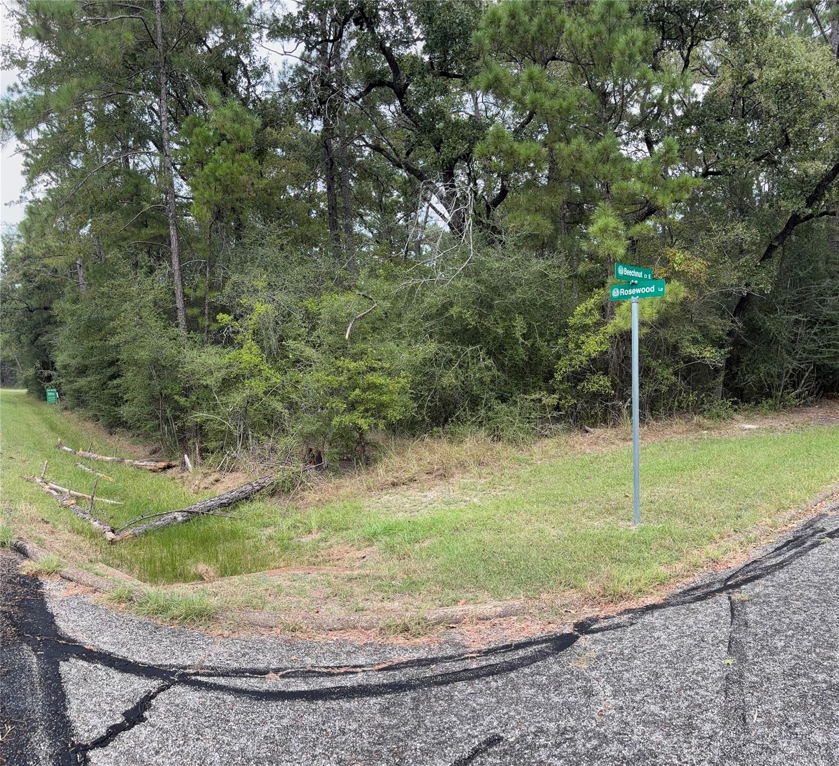 TBD Beechnut Ct