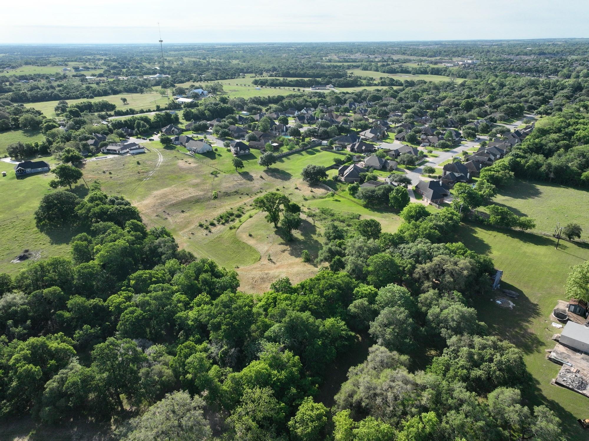 2917 Twisted Oak Drive