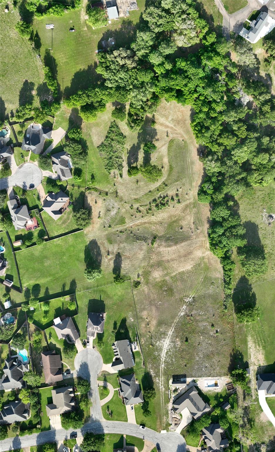 2917 Twisted Oak Drive