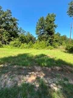 TBD County Road 488