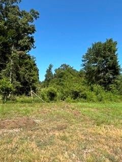 TBD County Road 488