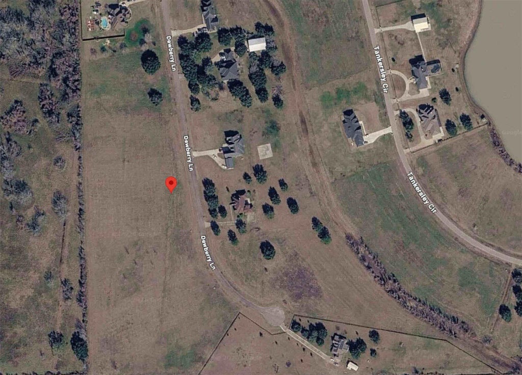 Photo of 17118 Dewberry Lane, Rosharon, TX 77583 (MLS # 58969738)