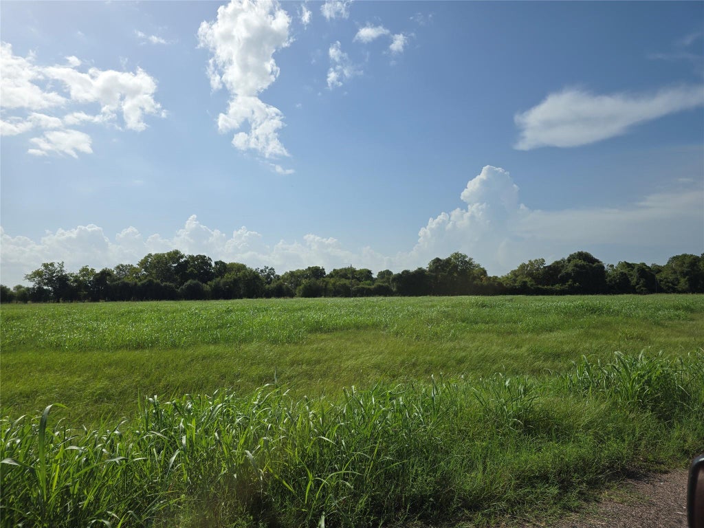 Photo of 17118 Dewberry Lane, Rosharon, TX 77583 (MLS # 58969738)