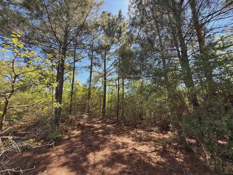 10 ac Cr 2926 Buffalo TX 75831