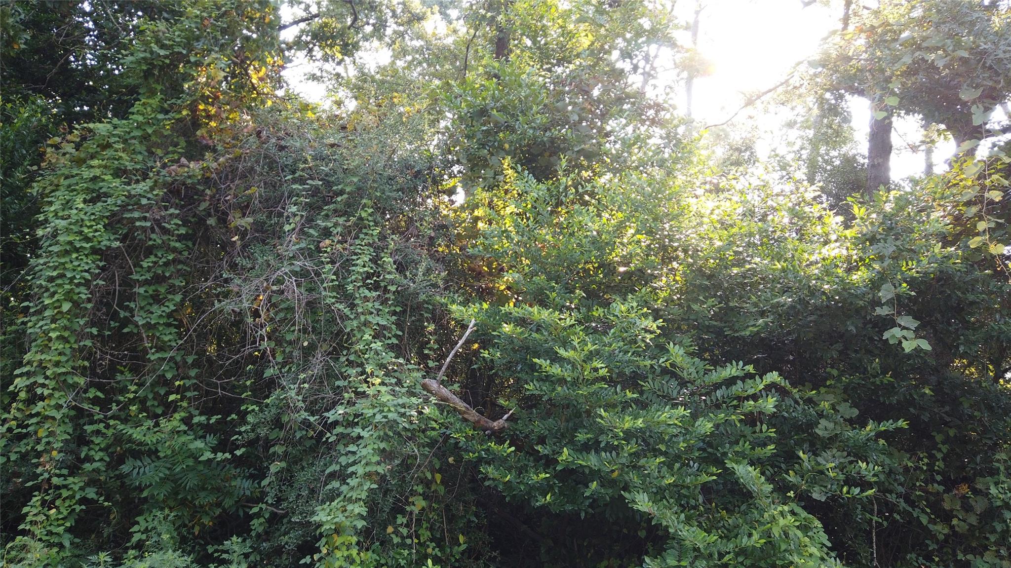 TBD Lancelot Drive