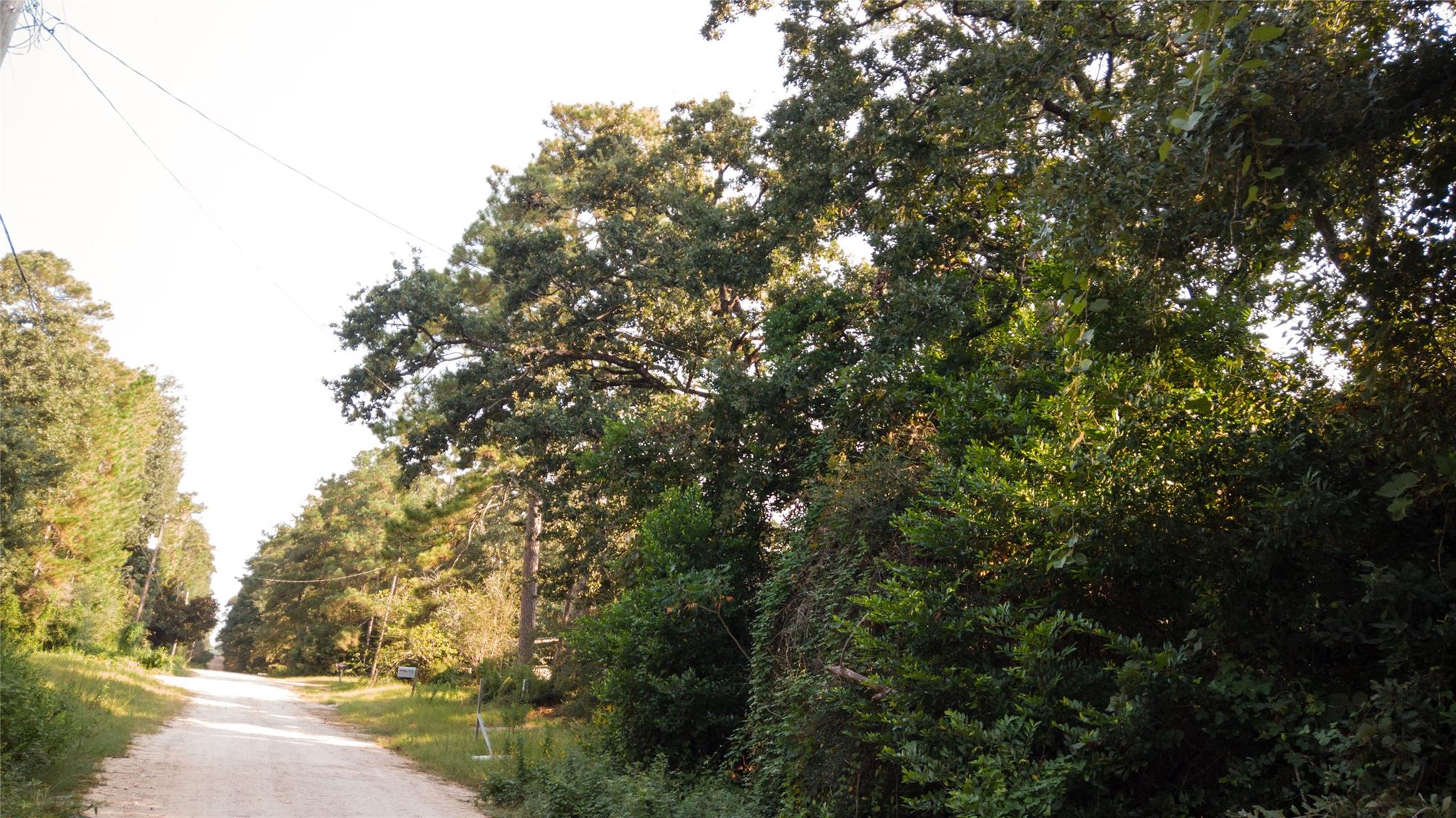TBD Lancelot Drive