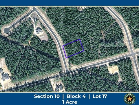 Vacant Land For Sale - 11508 Inspiration Drive<br/> Willis, TX 77378