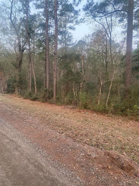 TBD Hill Creek Drive Coldspring TX 77331