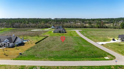 8572 Cedar Lake Lane Plantersville TX 77363