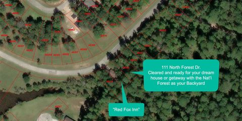 Photo of 111 North Forest Drive, Huntsville, TX 77340 (MLS # 53330916)