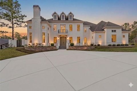Photo of 7226 Morningbrook Drive, Montgomery, TX 77316 (MLS # 88559700)