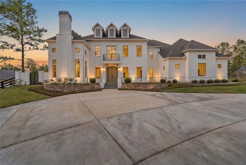 Photo of 7226 Morningbrook Drive, Montgomery, TX 77316 (MLS # 88559700)