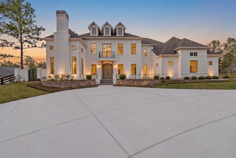 Photo of 7226 Morningbrook Drive, Montgomery, TX 77316 (MLS # 88559700)