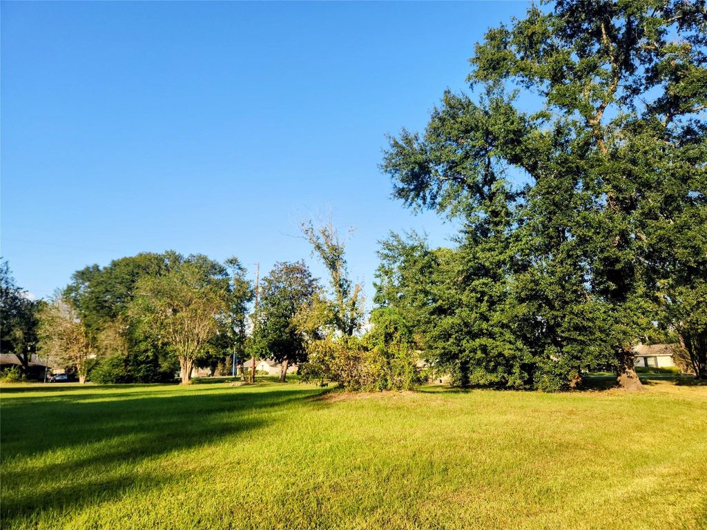 Photo of 5123 Francine Lane, Houston, TX 77016 (MLS # 62395073)