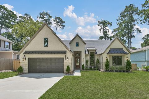 15658 Corinthian Way Willis TX 77318
