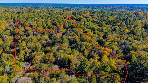 Vacant Land For Sale - TBD Rolling Ridge Road<br/> Goodrich, TX 77335