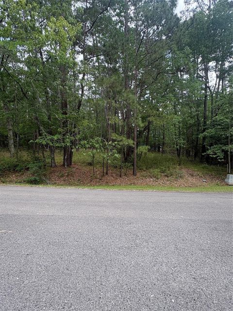 Photo of 78 Wentworth Lane, Coldspring, TX 77331 (MLS # 74733856)