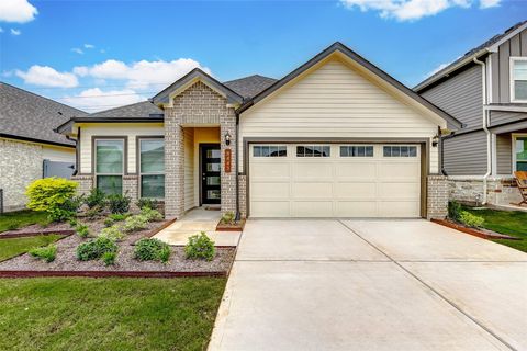 Photo of 8443 Red Shiner Way Dr, Fulshear, TX 77441 (MLS # 98531096)