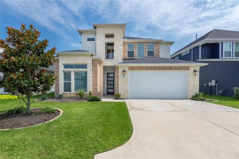 10736 S Lake Mist Lane Willis TX 77318