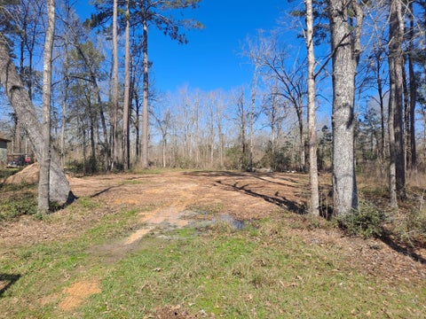 Photo of 363 Edgewood, Onalaska, TX 77360 (MLS # 82298810)