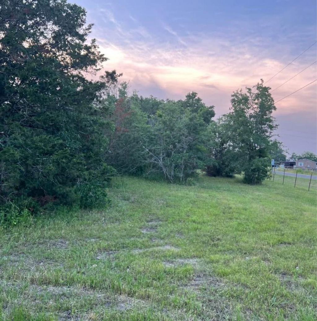 Photo of 21564 Harrison Drive, Bedias, TX 77831 (MLS # 39471877)