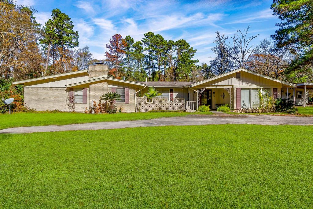 Photo of 433 W Laurelia Road, Livingston, TX 77351 (MLS # 45508845)