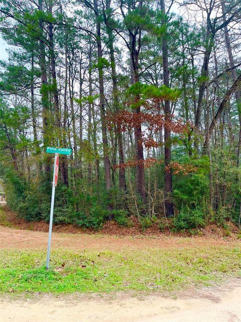 Vacant Land For Sale - TBD Pine Valley Drive<br/> Shepherd, TX 77371