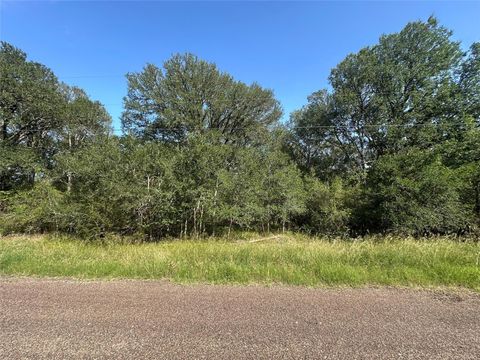 344 and 362 Indian Ridge Drive Somerville TX 77879