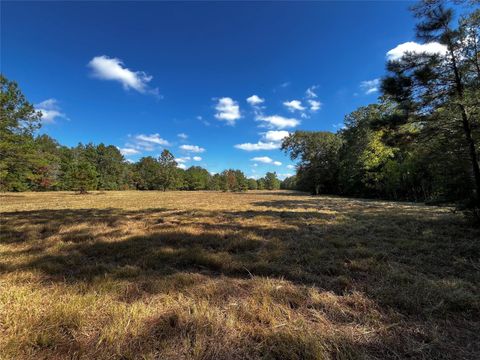 0 County Road 2314 Dayton TX 77535