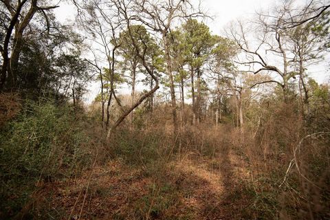 Vacant Land For Sale - TODD MISSION DR Todd Mission Drive<br/> Plantersville, TX 77363