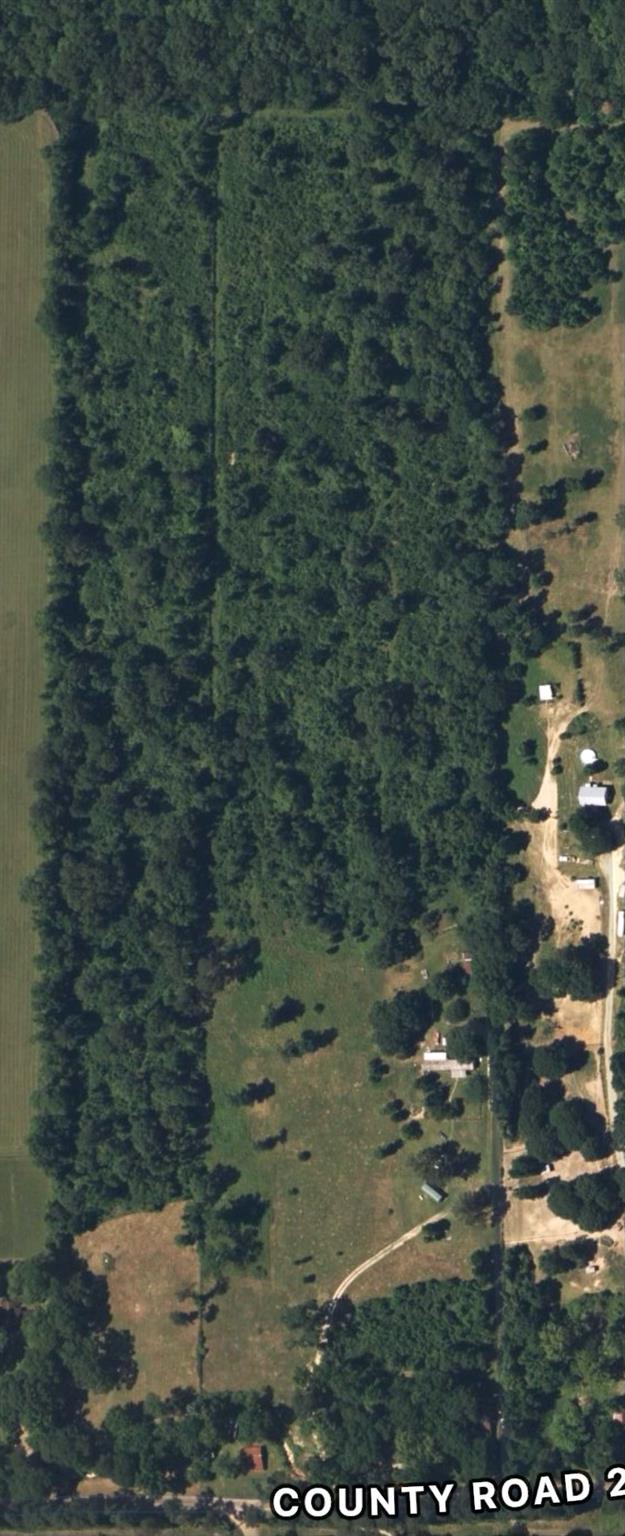 6225 County Road 2252