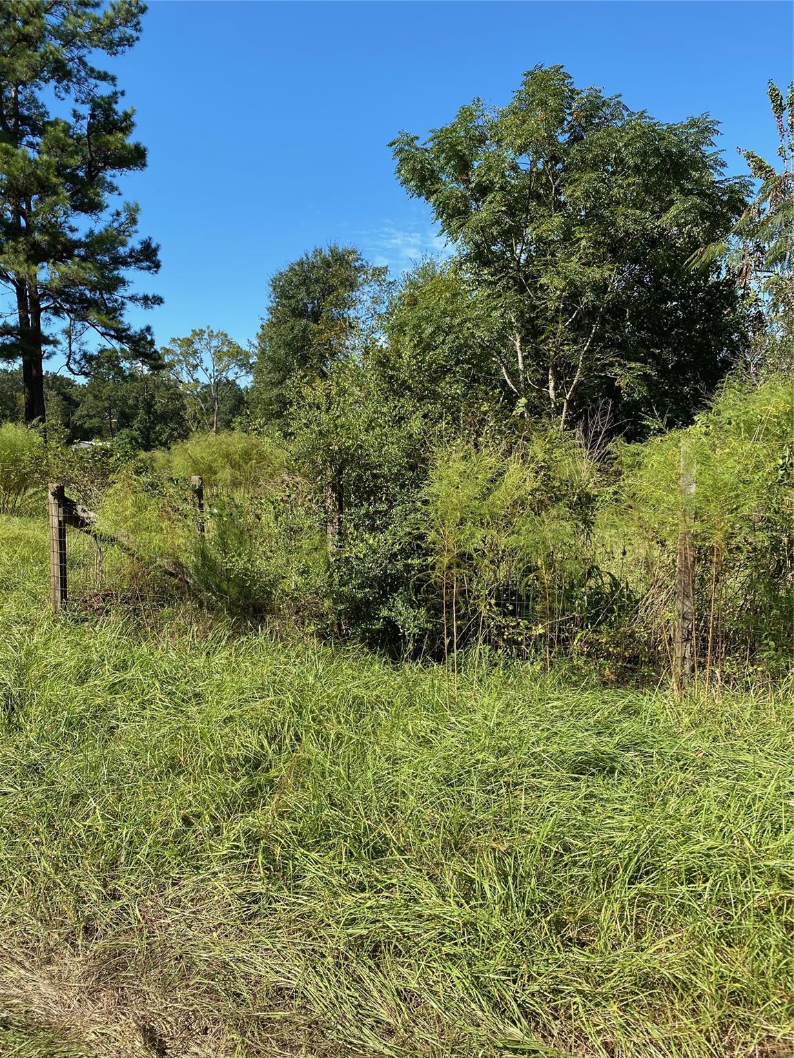 6225 County Road 2252