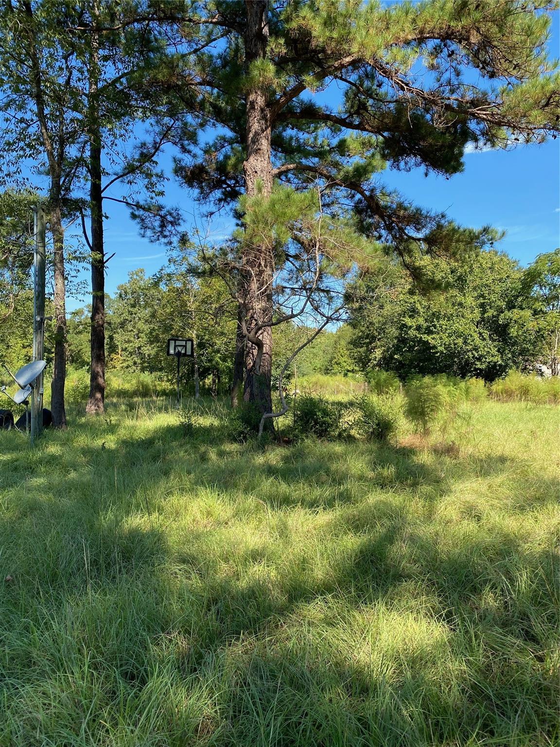 6225 County Road 2252