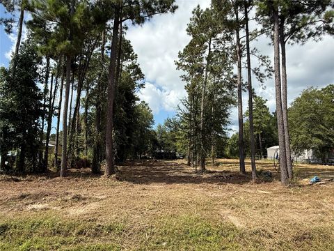Photo of 72 County Road 3543, Cleveland, TX 77327 (MLS # 46051109)