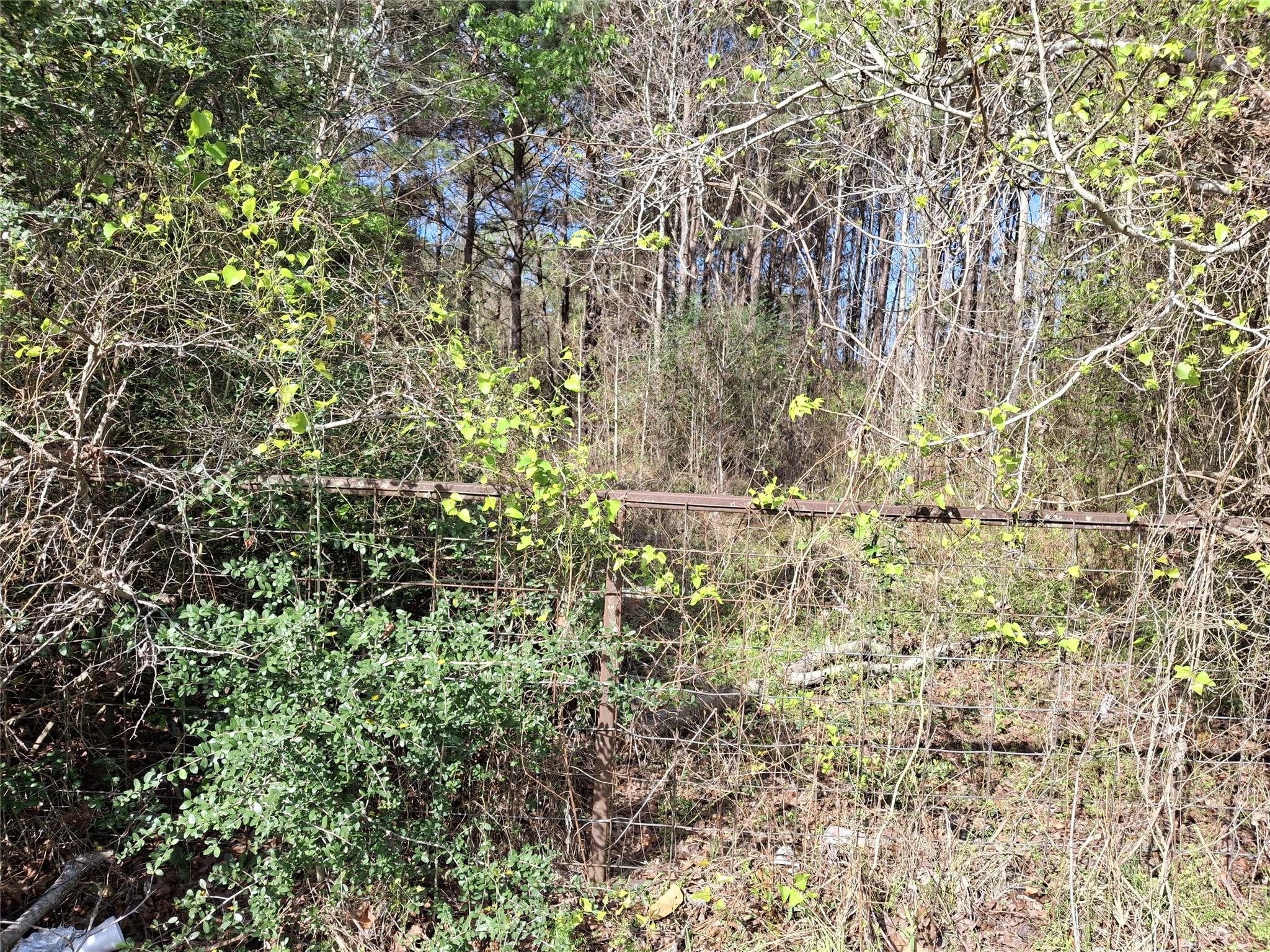 25450 Decker Prairie Rosehill Road