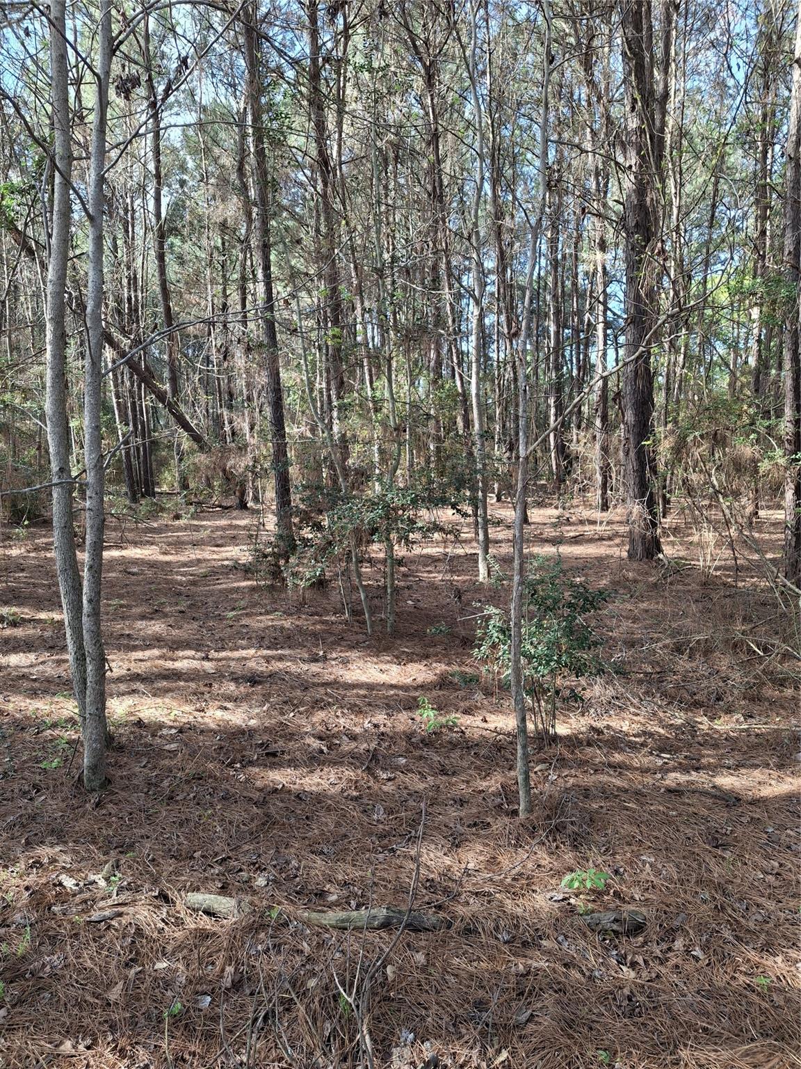 25450 Decker Prairie Rosehill Road