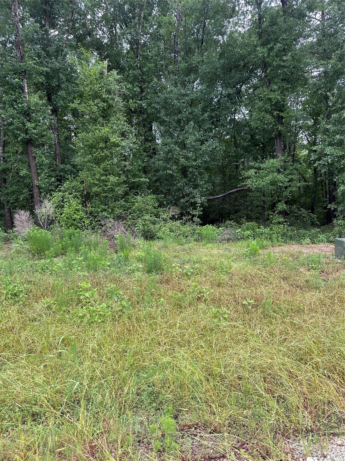 149 Hollow Hill Drive