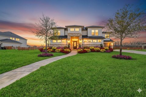 Photo of 29535 Fulshear Lake Trace, Fulshear, TX 77406 (MLS # 43521684)