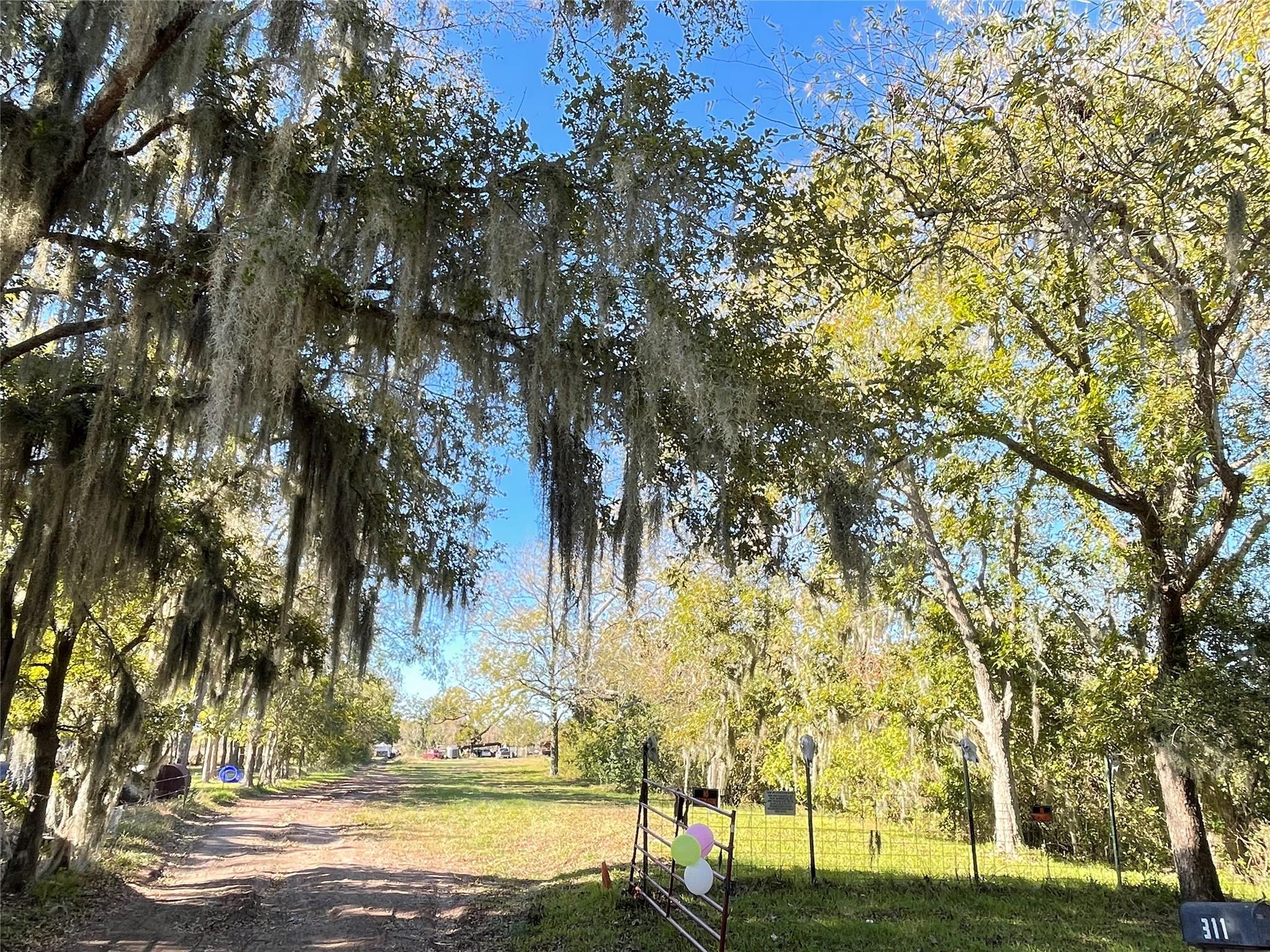 311 County Road 488b