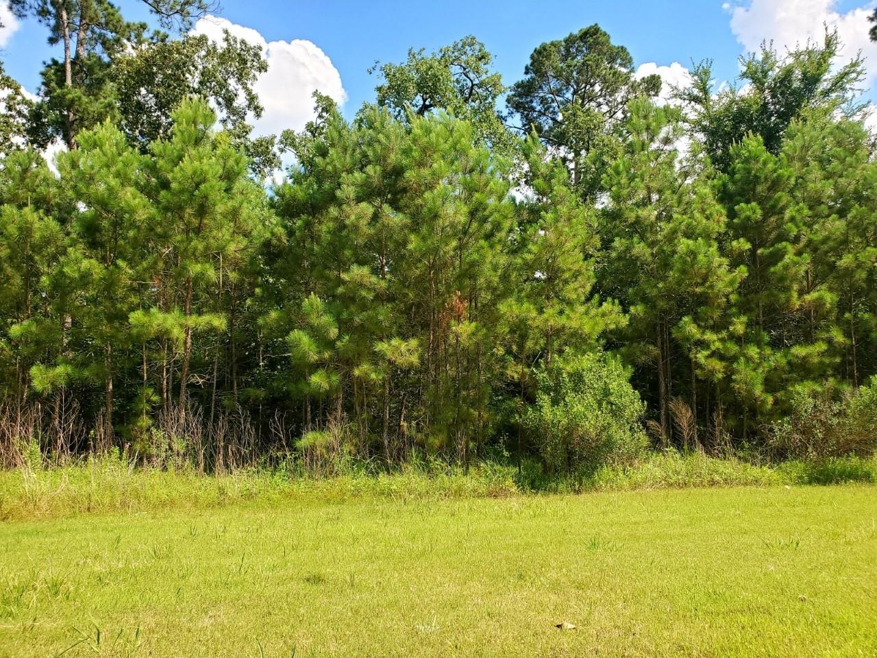 73 Kings Lake Estates Boulevard