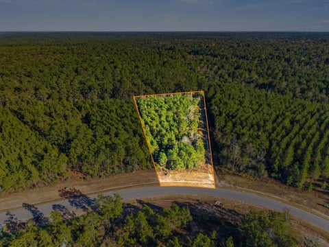 Vacant Land For Sale - 12696 Oak Barrel Road<br/> Willis, TX 77378