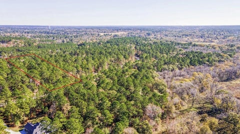 Photo of 14 Sandpiper Drive, New Waverly, TX 77358 (MLS # 25106097)