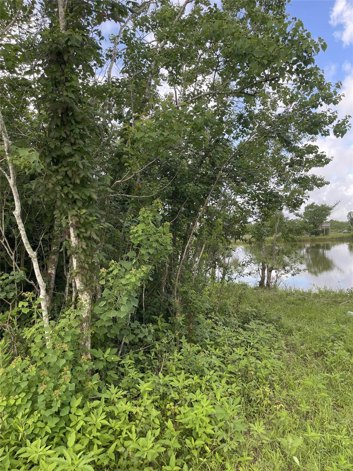 3021 County Road 62 Off