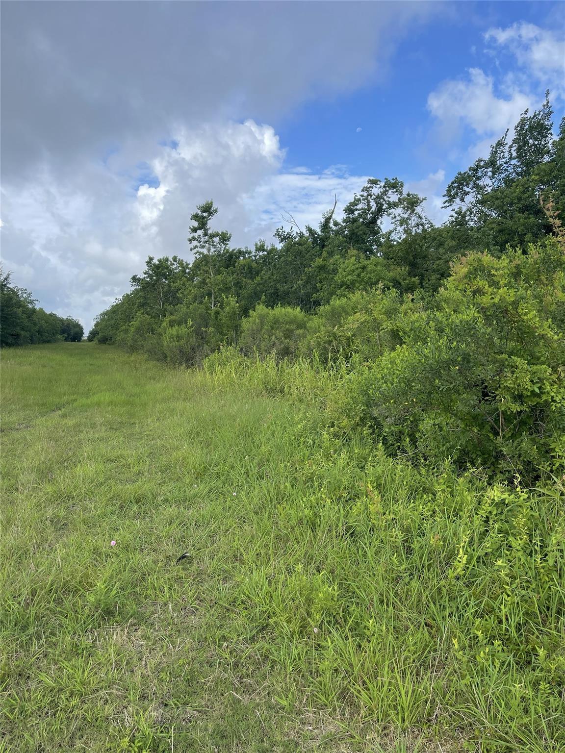 3021 County Road 62 Off