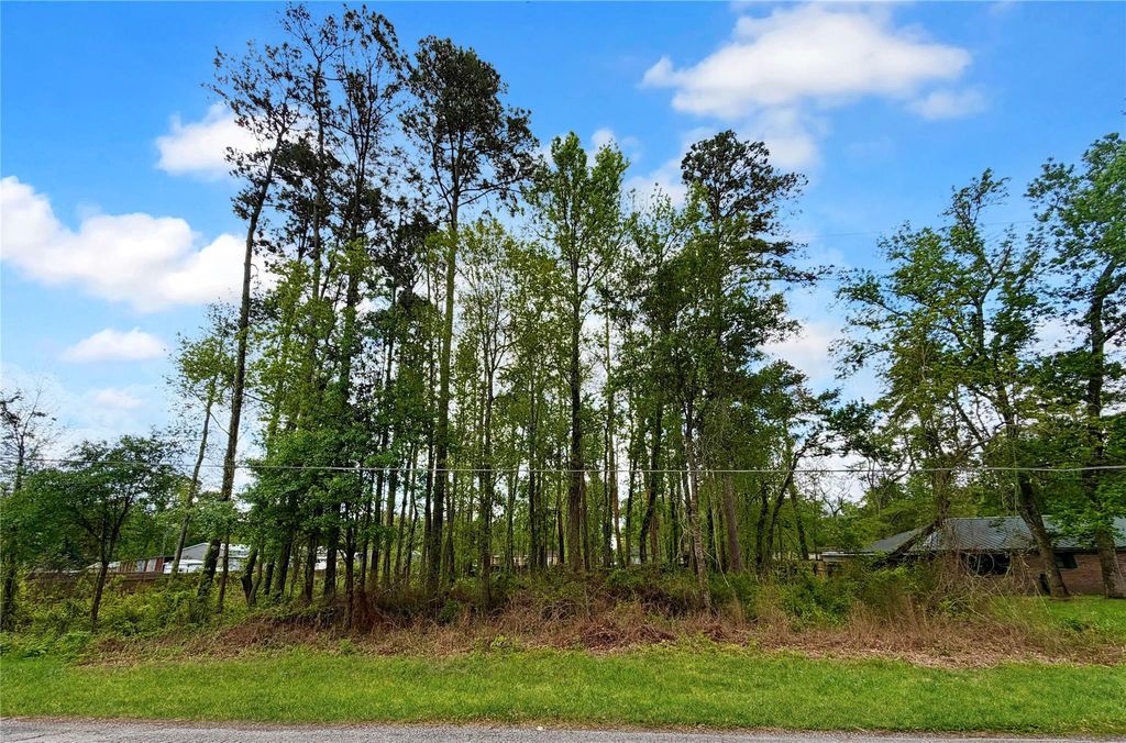 Photo of 103 County Road 432, Dayton, TX 77535 (MLS # 94548689)