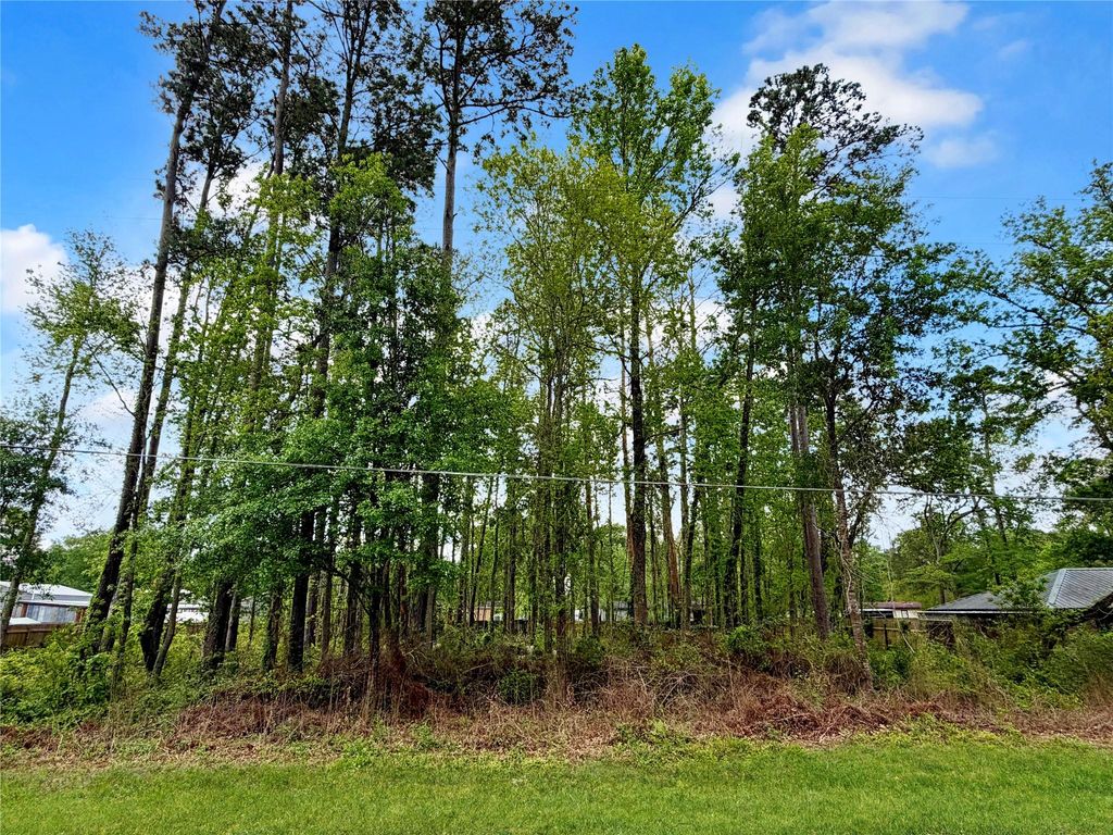 Photo of 103 County Road 432, Dayton, TX 77535 (MLS # 94548689)