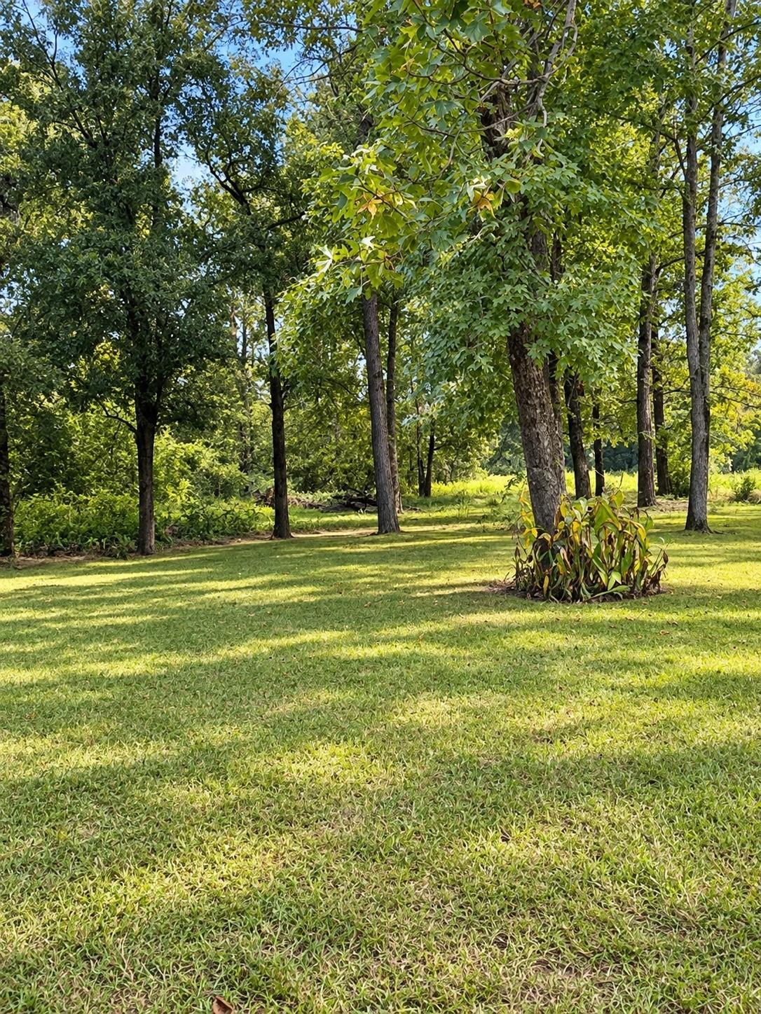 25710 Wildflower Drive