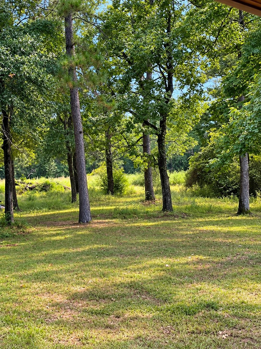 25710 Wildflower Drive